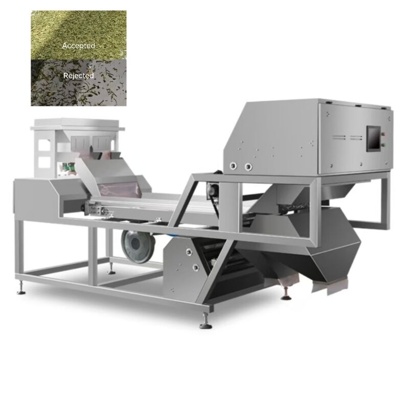 AI Belt Type Basil Color Sorter voor gedroogde kruiden en specerijen.
