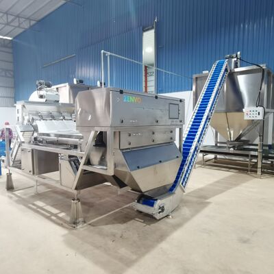 Intelligente Automatische Cashewnoot Scheidingssorteerder met Enkeldeksband