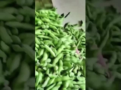 Edamame kleur sorteerder