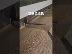 de sorteerder van de sesamkleur