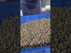 Crawler Sorter voor erwten