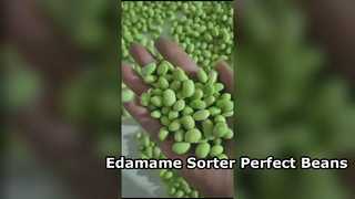 Edamame-kleurensorteerder van het rupstype 180 - Hoge capaciteit en lage breuk.