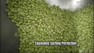 Kleursorteerder met riem voor bevroren Edamame-bonen