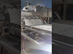 Dubbellaagse cashew-kleurensorteerder van het bandtype.