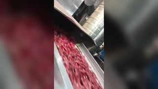 Twee chilikleursorteerders met tracking