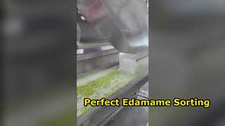 Edamame-kleurensorteerder van het rupstype 120