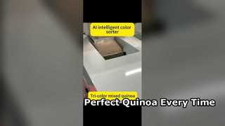 Hoogefficiënte kleurensorteerder voor premium quinoa