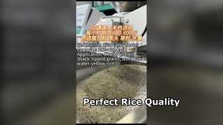 32-kanaals rijstkleurensorteerder voor kleine tot middelgrote rijstmolens.